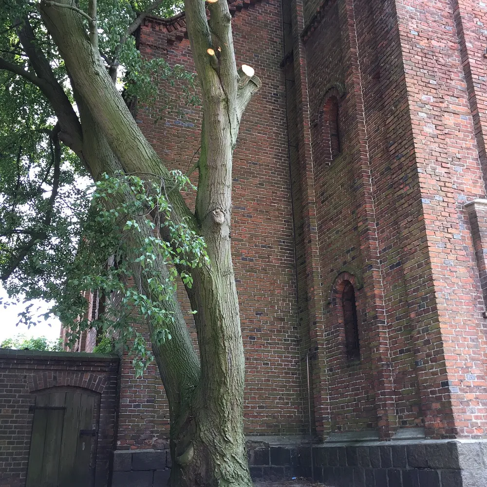 Św. Wojciecha i NMP Matki Kościoła, Pogorzela, Pogorzela — exterior