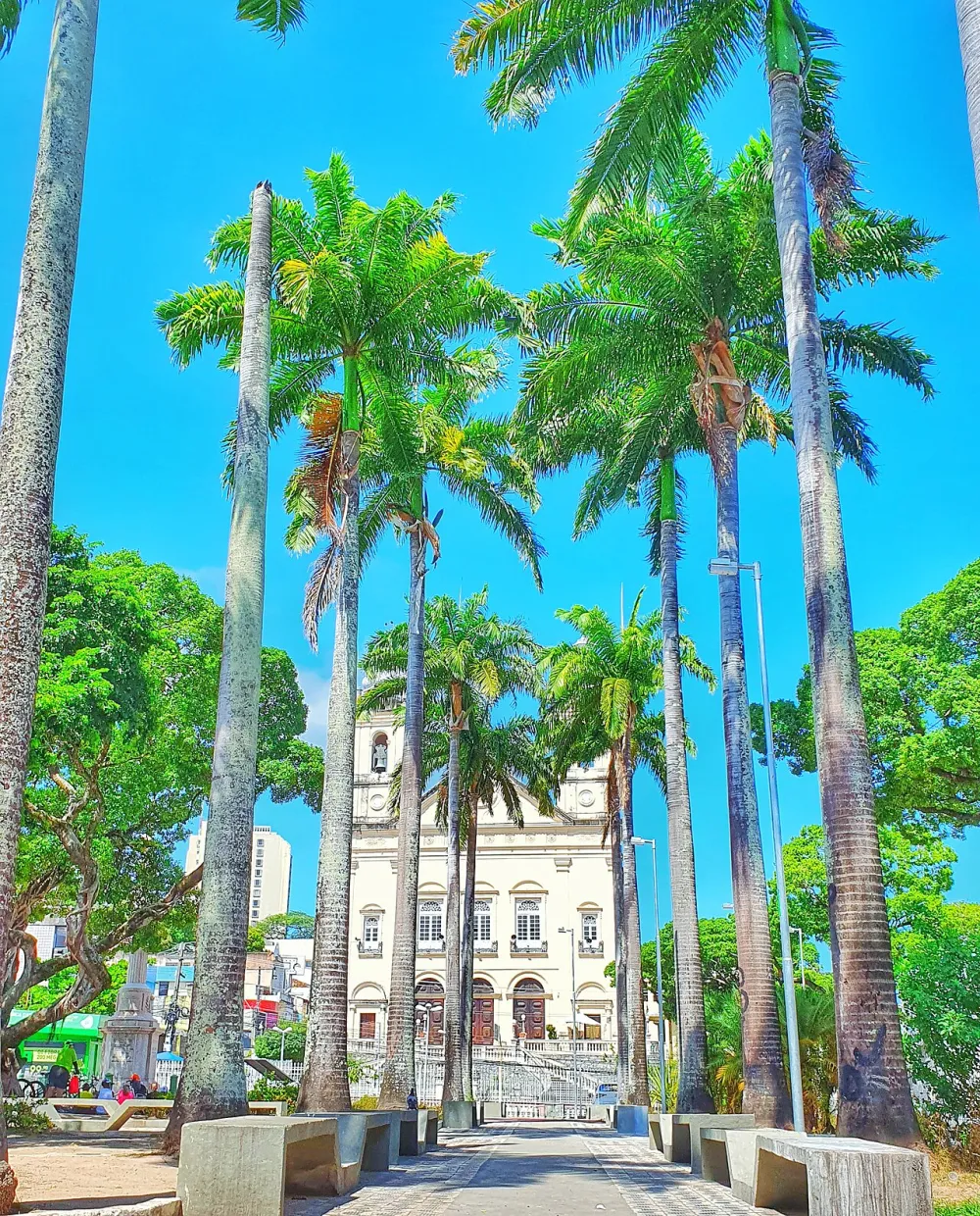 Catedral Metropolitana de Maceió, Maceió