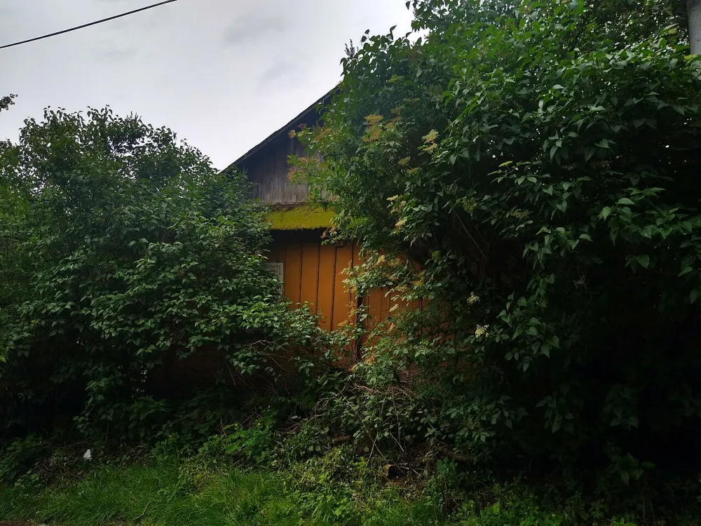 św. Katarzyny i Świętej Trójcy, Tyczyn, Tyczyn — exterior