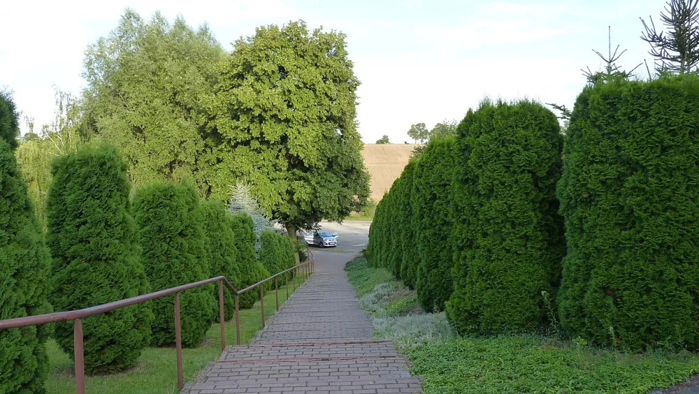 Św. Jana Chrzciciela, Chomiąża Szlachecka, Chomiąża Szlachecka — exterior